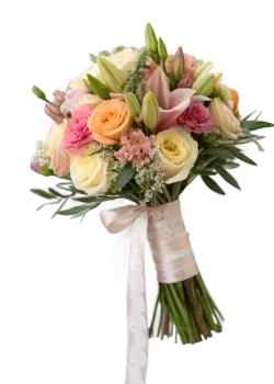 Imagen PNG para descargar